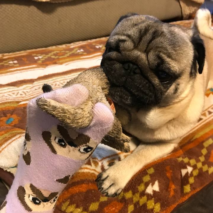 70c94c8d 9dd4 49c6 979d 30b18c1525c0