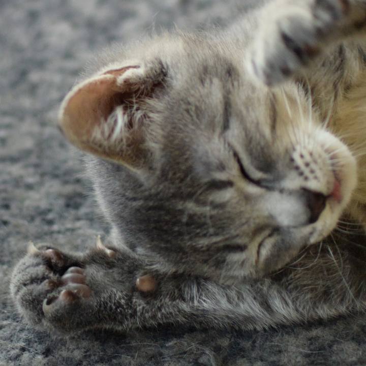 70c9cc7f 3f7e 4933 8d83 cb9265fc72d8