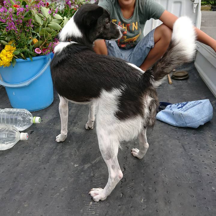 70ca282e 93d7 49f0 a272 cf7d4c546687