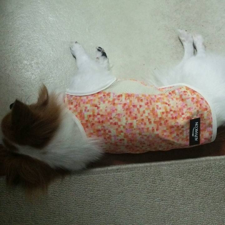 70ca4248 73b6 4df9 94e1 6cb59e7e23be