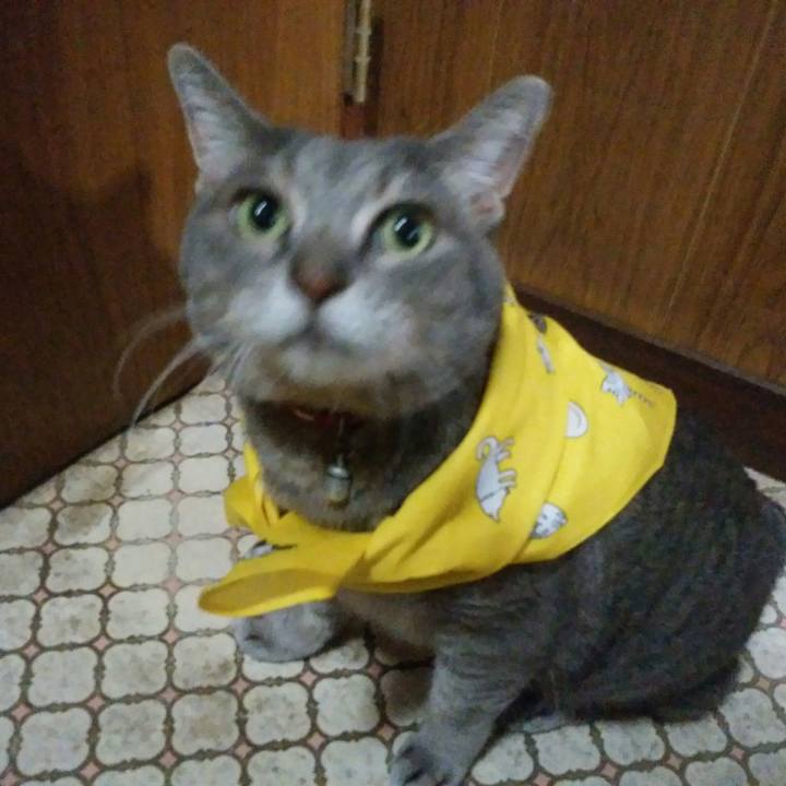 70ca5e6c 12b7 4b2e 808d 8a66228bf508