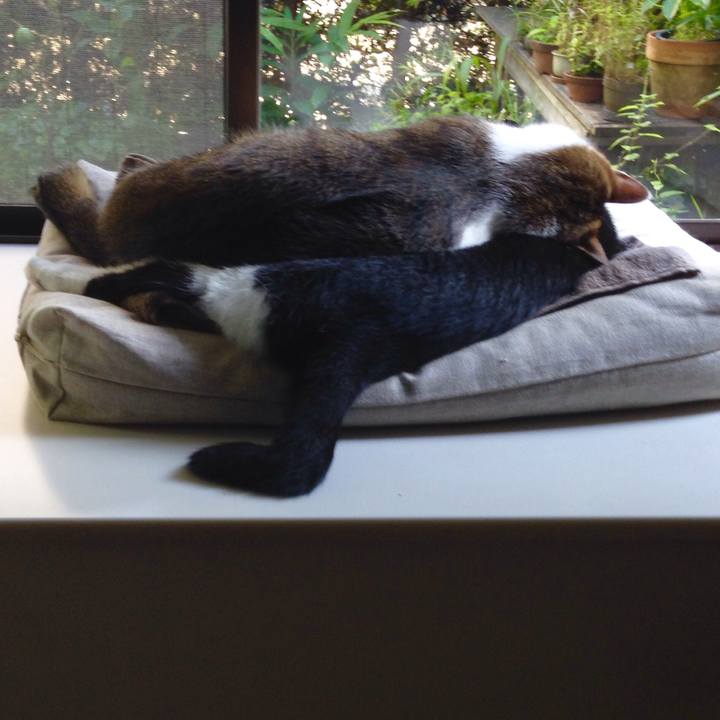 70cad98e 9f1e 4e94 96fc 6b86ea23f8e0