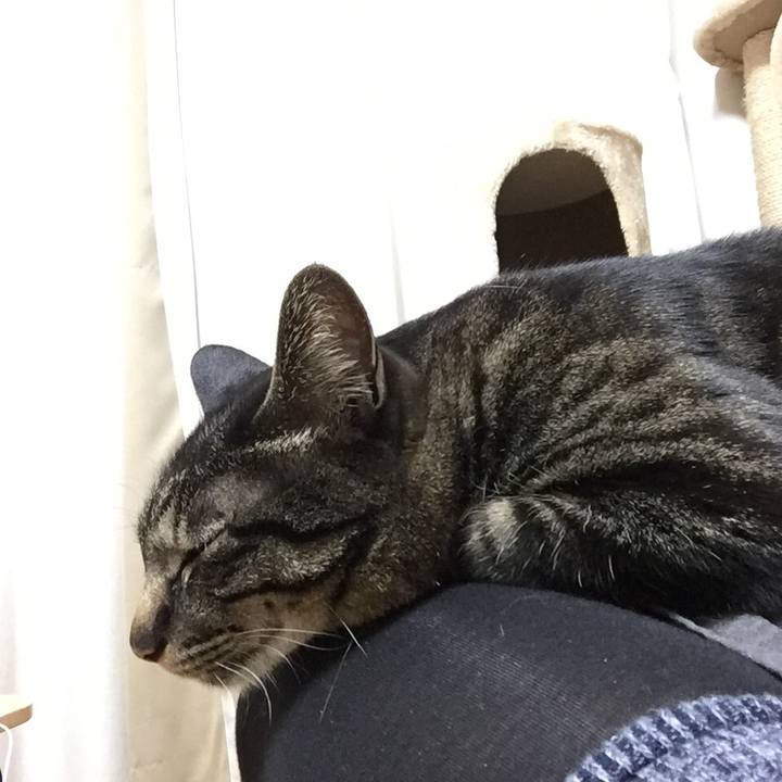 70cb4eeb 6f9a 47ef 9137 e0d088f76c1e