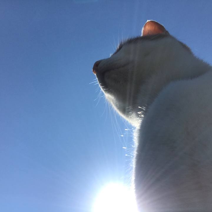 70cb62aa e6e2 40a1 9bbb 1b29a7fee817