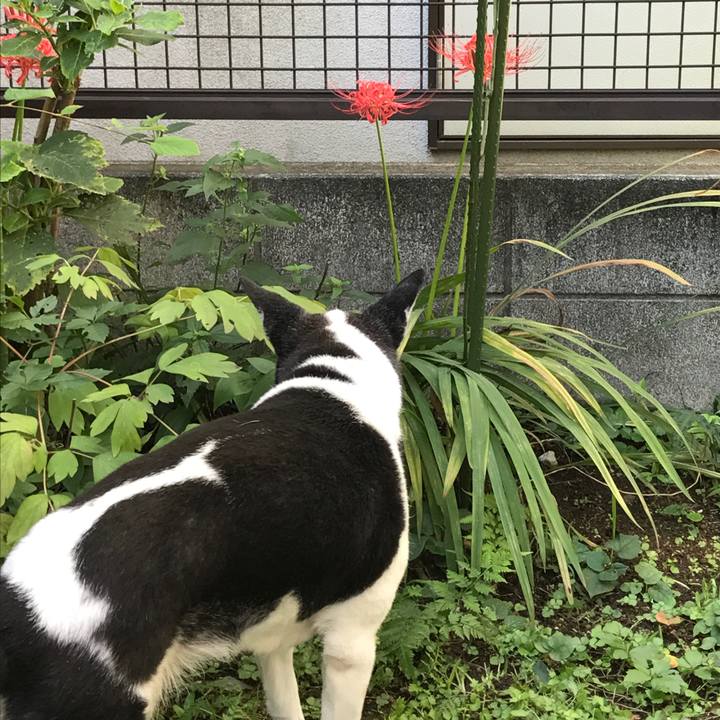 70cbbce5 d47d 418e 8a00 feefd25b8846