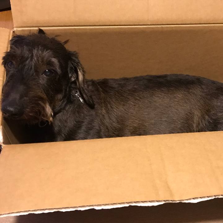 70cc4c38 7f1c 4609 9b76 a7473368d604