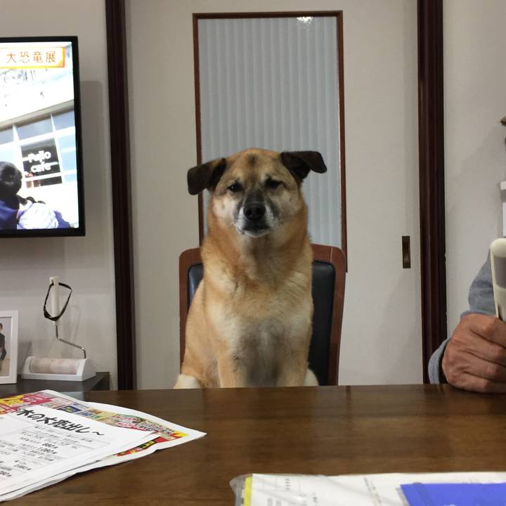 70cd2590 fdea 4ab8 9b5c 0835ecc51daf