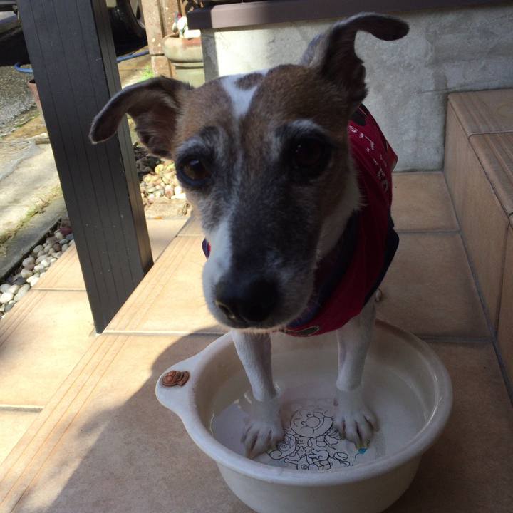 70cd75ce 3134 4b2b a620 84fe7375b6e9