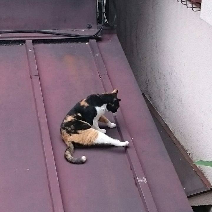 70cdb2b8 0d97 4322 8de9 c076f86a9294