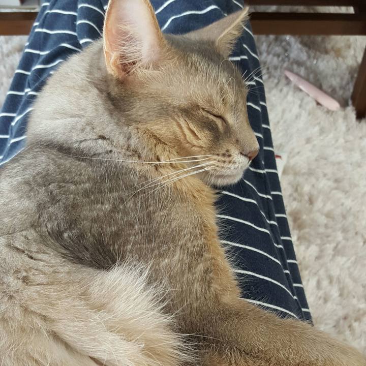 70cdd743 612f 42d3 be95 4c572d75e7e7