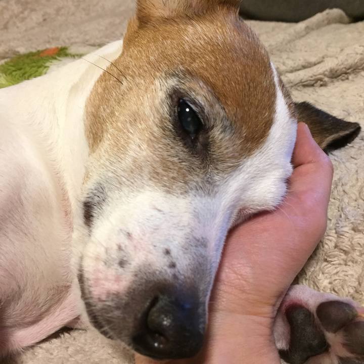 70cdea5c d34f 4083 a080 80e749a6cd4d