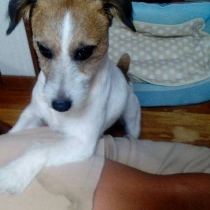 70ce5051 827a 4a8b 8799 63f0c1934163