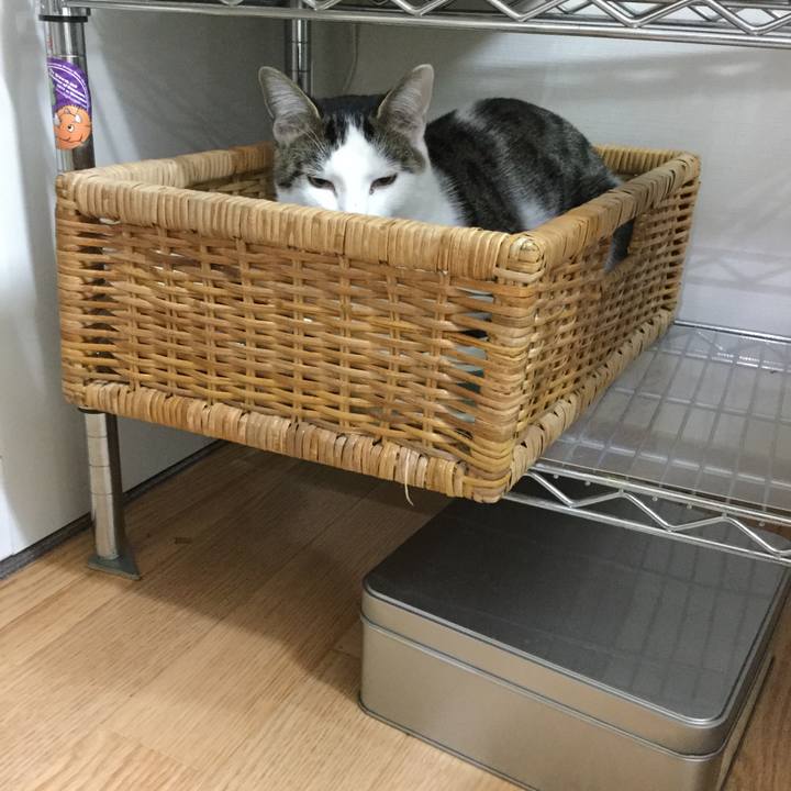 70cea2c4 3f0f 4483 9c24 fd1ef0f54aa0