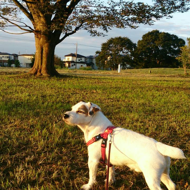 70cebac1 f636 49fd a6da 9b8a2400233f