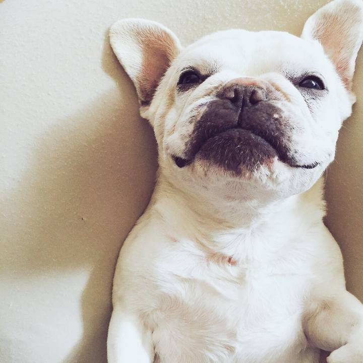 70cec2e5 a28e 4847 a05f 1f61b8e259f3