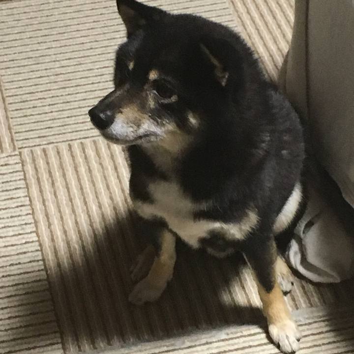 70cef083 8a76 4c6e 9913 3f6674b3de90