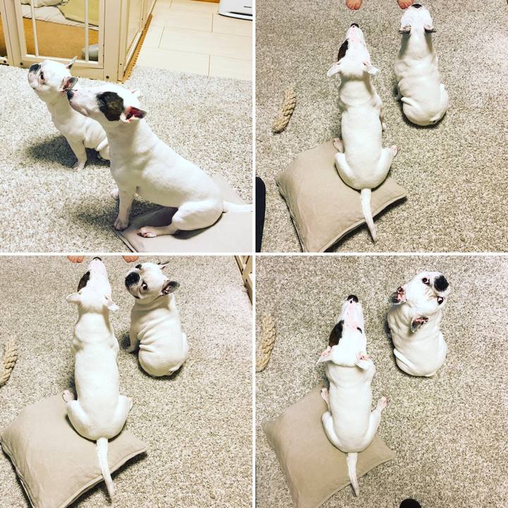 70cfb5d3 9a44 4332 924f e44c88a2983c