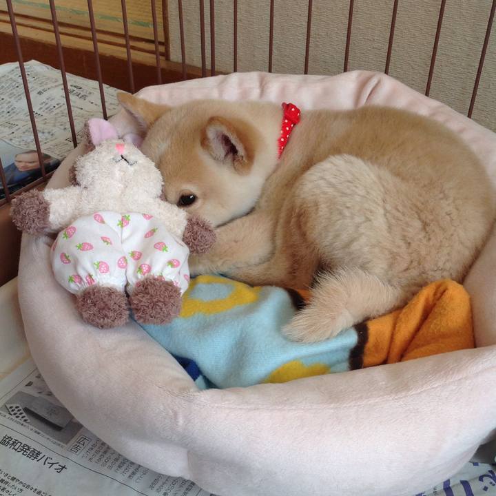 70cff0bd 70ff 4e9f 9144 0d845858e347