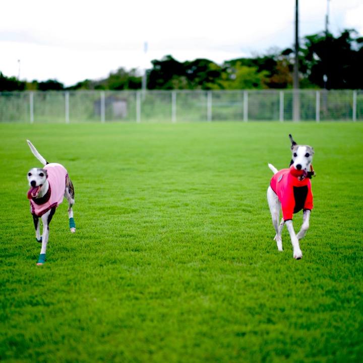 70cff163 bea1 4d21 aecf cfc6639e5774