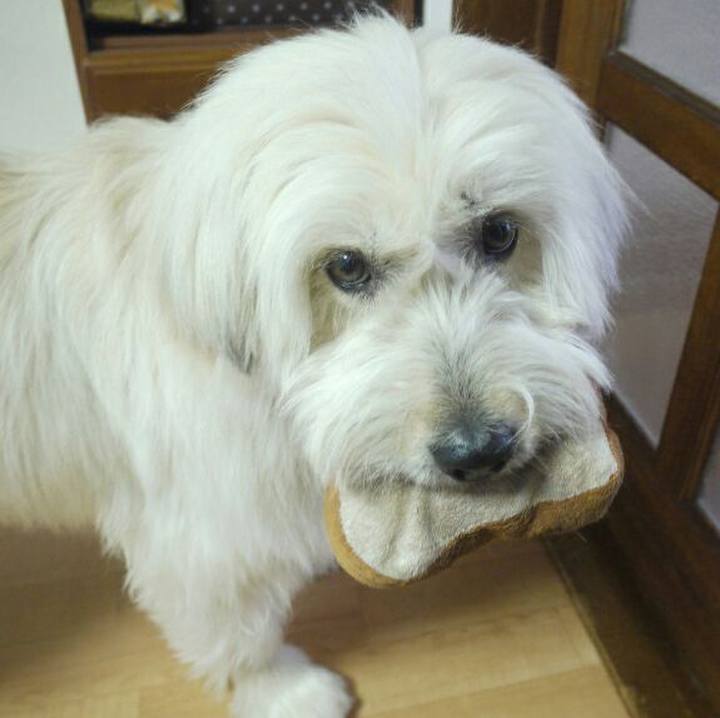 70d009ef f24e 43e0 9ddb b321410cc568