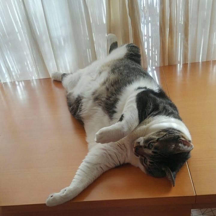 70d02f0d 7da5 4a65 bbcc d29eacac50d3