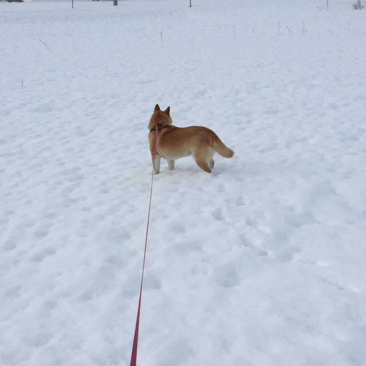 70d032fb 0970 446b 9427 24e4fc78e05a