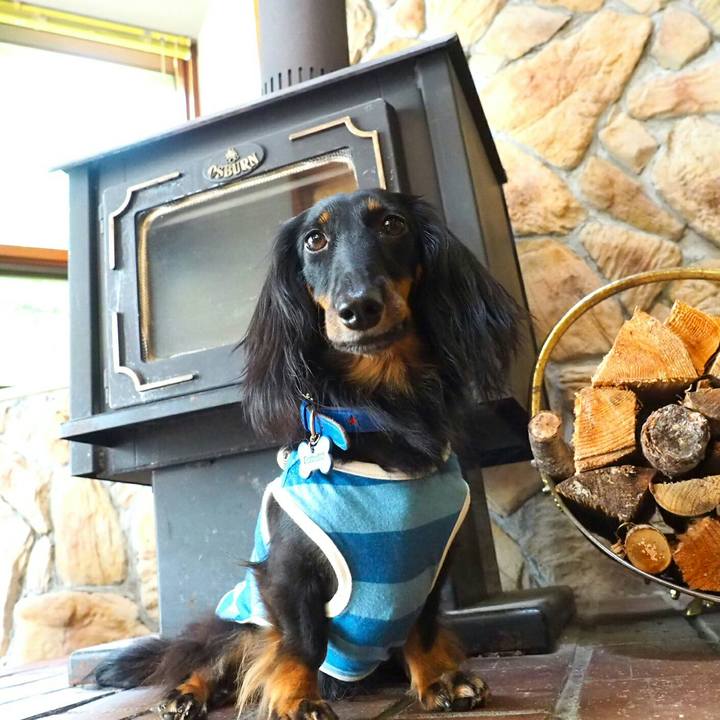 70d076f4 f7d0 4466 899e 5501adb4e9f6