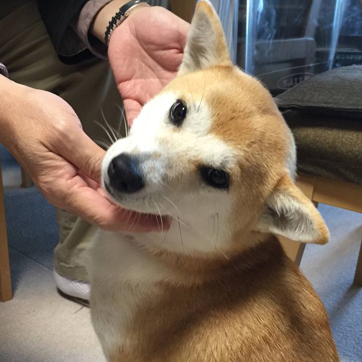 70d105b2 ffaa 4ebd 842c 2051b4bd4f6f