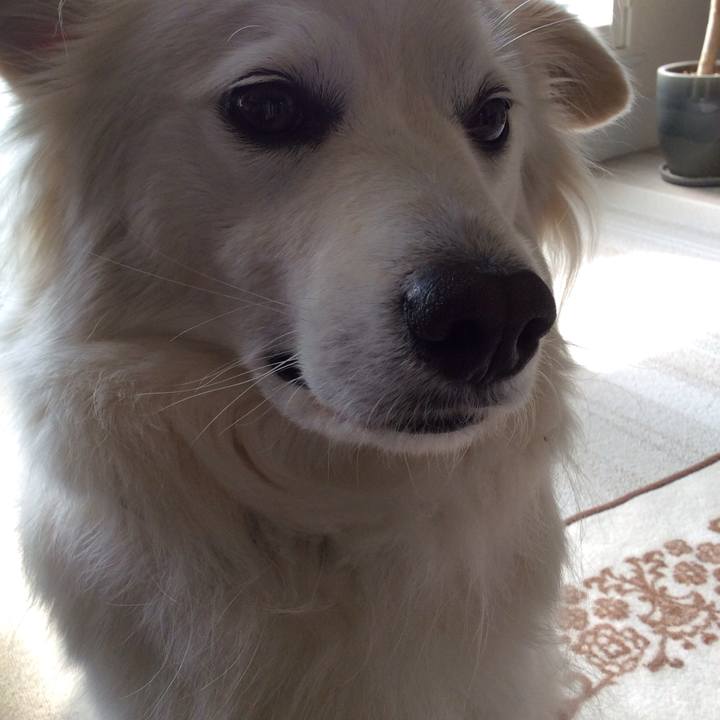 70d13bc6 fef6 4e14 8139 3fbbe98d6eb3