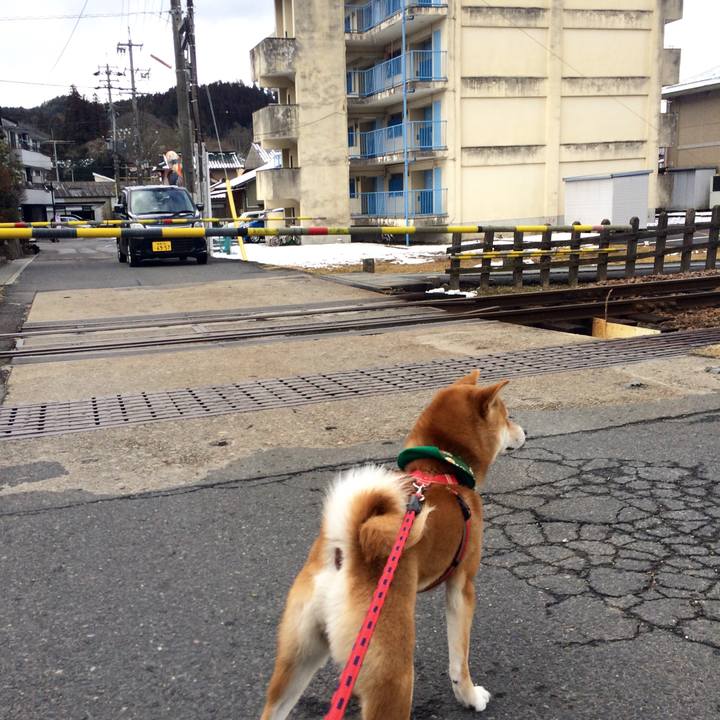 70d15b2a d42a 4757 b4e8 c39185dcf35d