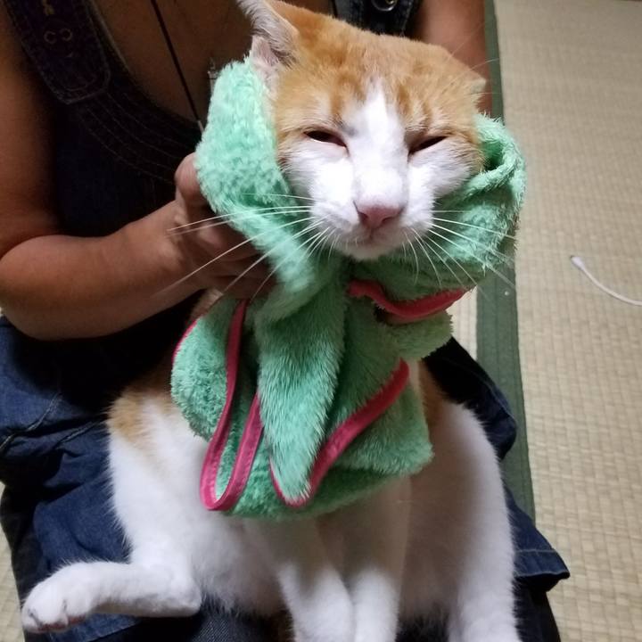 70d17fac ef43 4c3d b2ac f2cb96a97e65