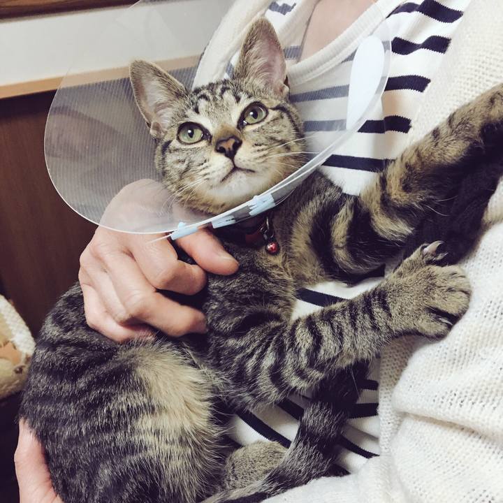 70d19743 4c19 4cfe b370 f777f4eea120