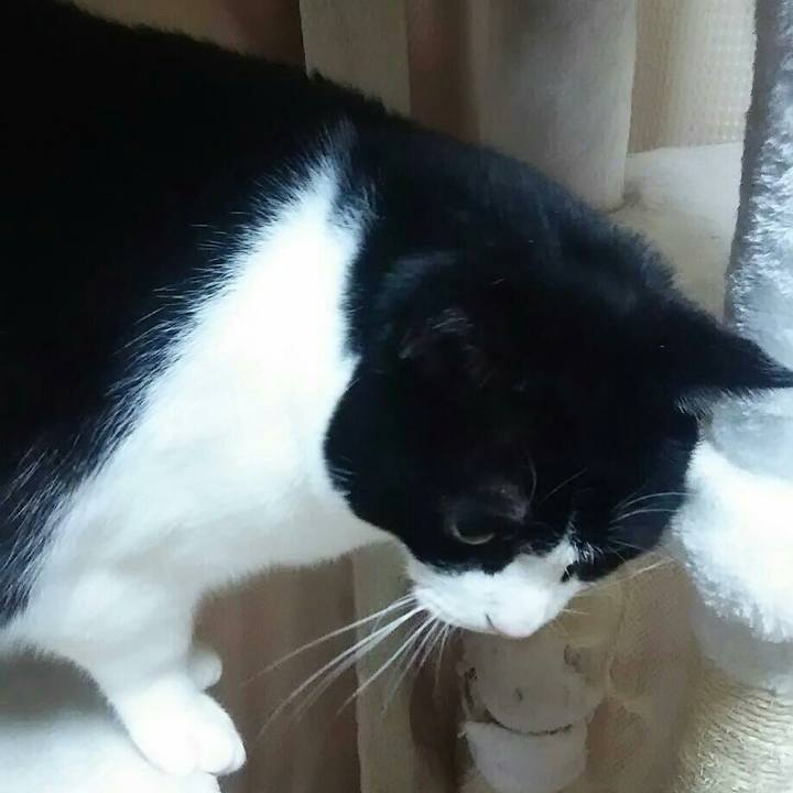 70d21f3c c434 4586 b82f 828d8aca3615