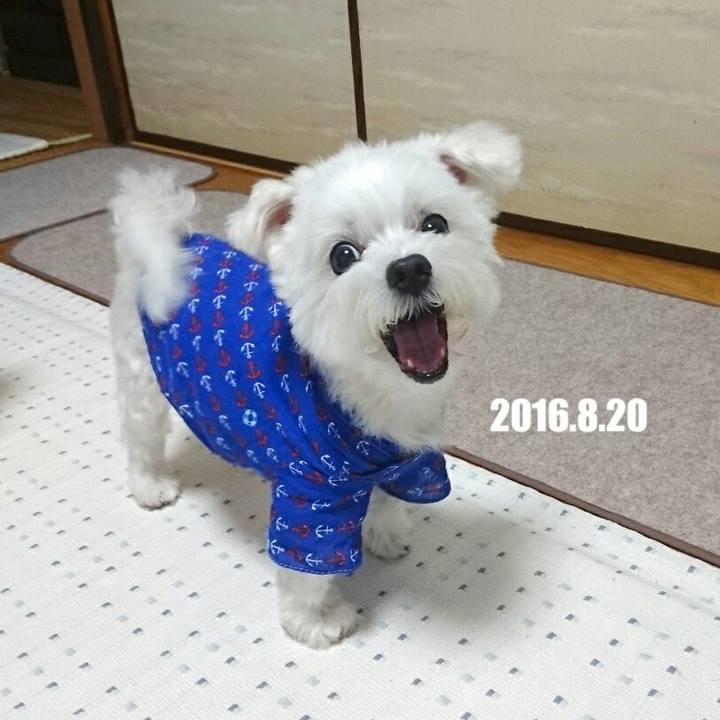 70d25c08 77ed 4800 9436 20fabcaebc83