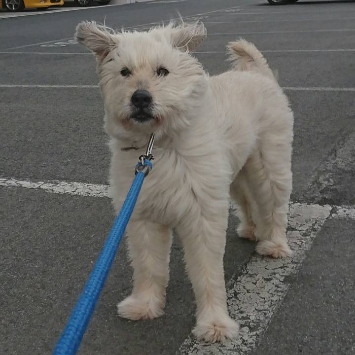 70d2bde9 2695 4ce5 8f69 c84902d5cb1c