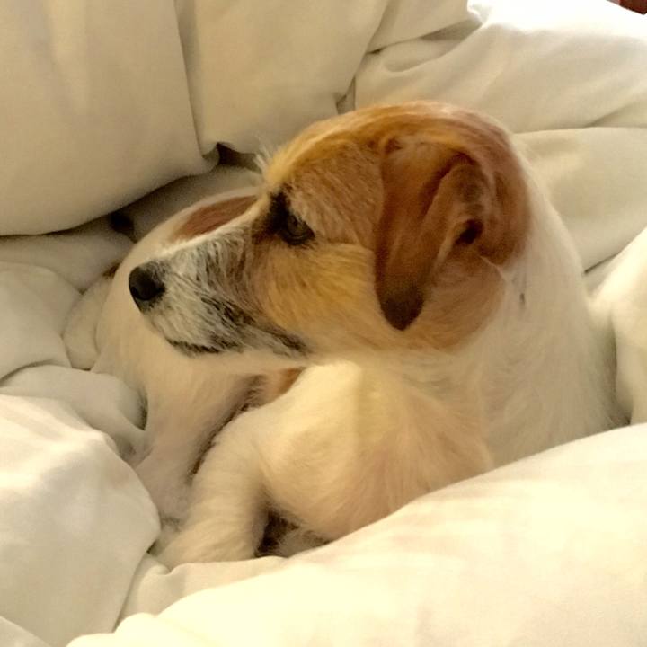 70d3635b 2d5b 4652 bd66 c480682f92ab