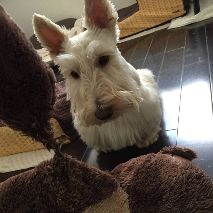 70d3878c e3ea 4f19 9d92 a7bff5e56a58