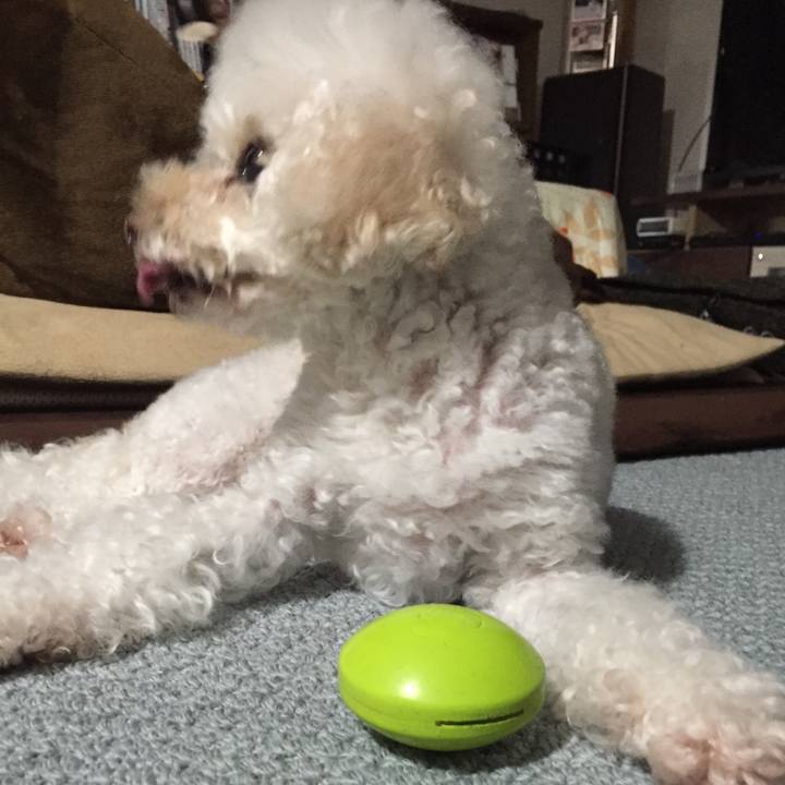 70d3bb9e d569 4687 ae52 5fb166865326