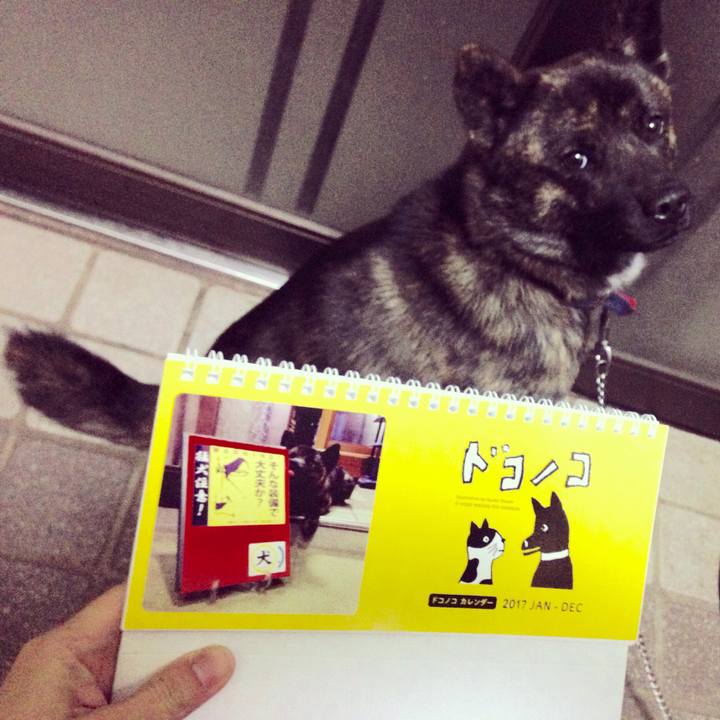 70d42fbd 4508 422b 95bd ea72df0dcac9