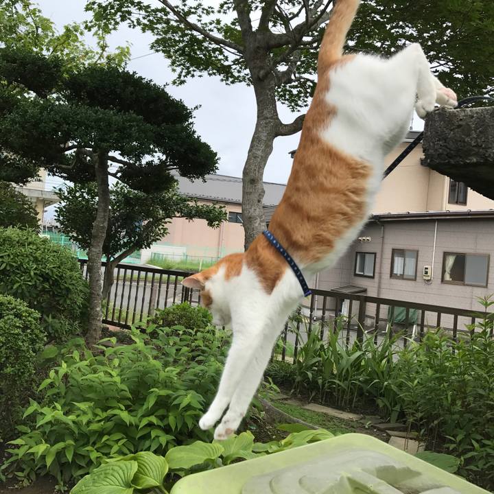 70d47d14 0d68 416e be29 5ffa61dd821e