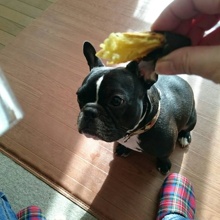 70d5c25e f899 4822 a84a c3c1e7e2e402