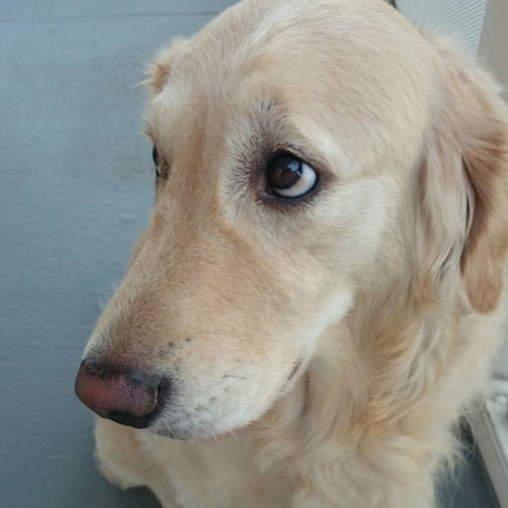 70d5dd1d 2040 4ef1 983c 099f2c98c302