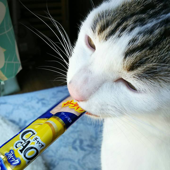 70d66421 1cb6 4909 964c e9469c6d1cd0