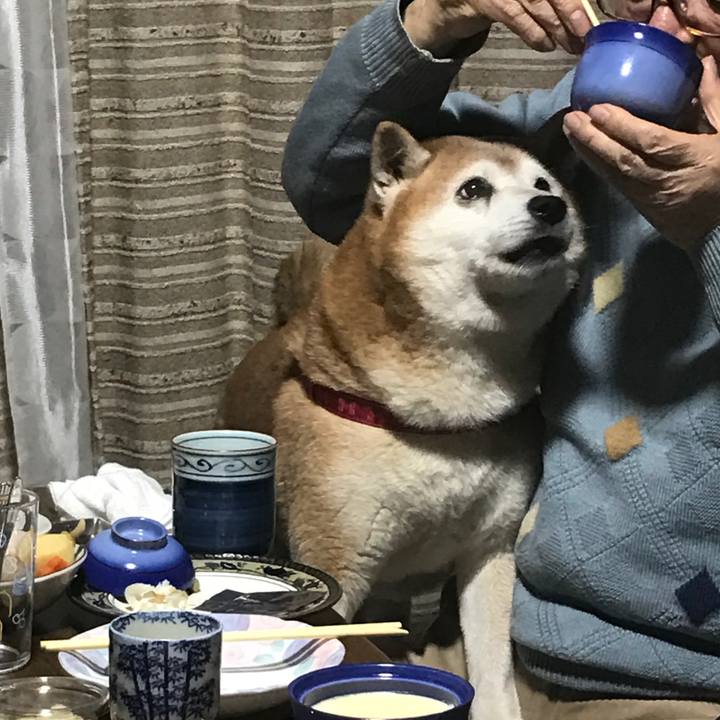 70d70347 0bed 4d8c b2cc 26b4c29cdcef