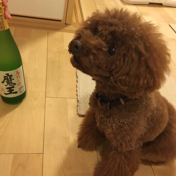 70d75a01 99c4 44aa aabd bad4a92aa360