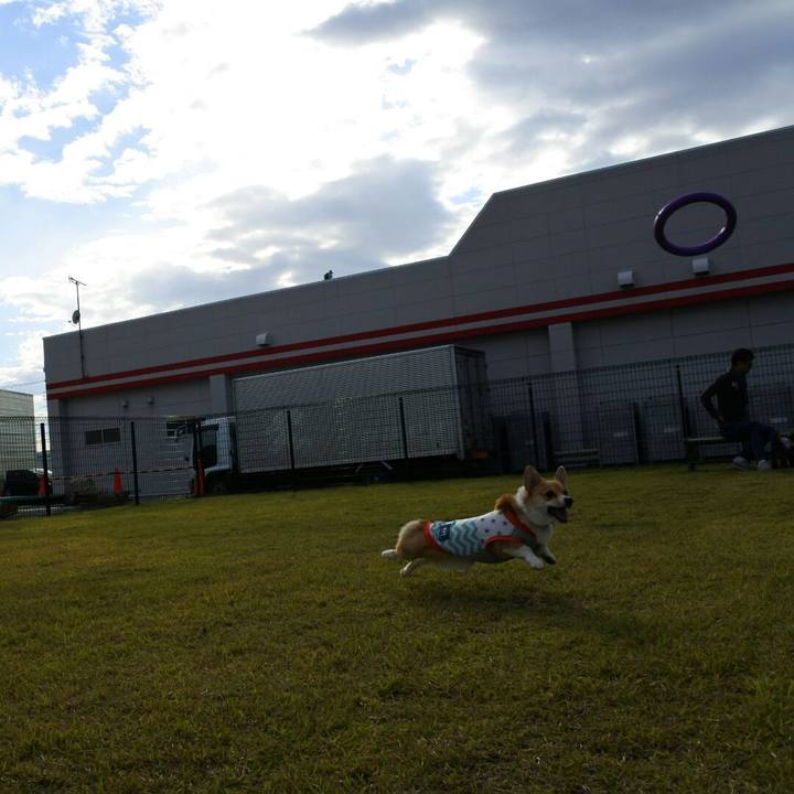 70d78f6c fc2f 46c7 9da2 53d7f18b5fc0