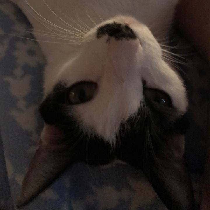 70d7f528 8ea7 4460 b0df 2e169aad5dbe