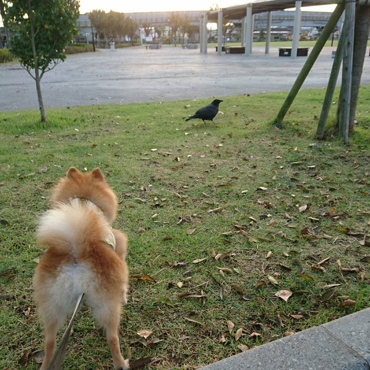 70d96c1a c3a0 405e a056 5775745fe255