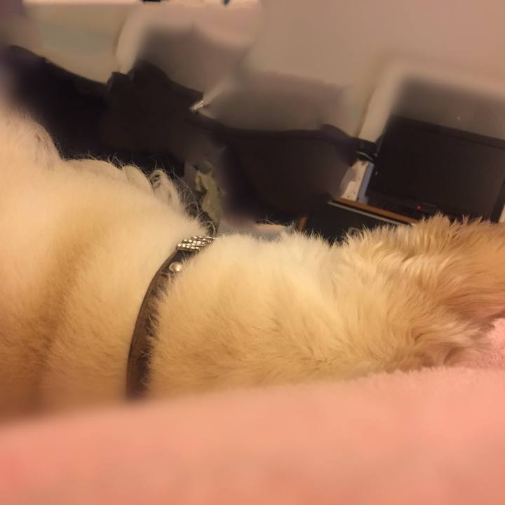 70d97bc3 d859 4d39 b5bb 91199fc78cd4