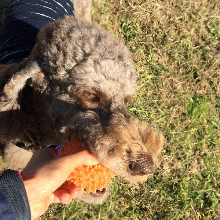 70da14d3 24fe 4522 b94e fce2025f7559